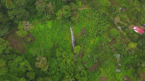 el dron vuela hacia una pequeña cascada en el centro de un bosque cubierto de niebla en la ladera de una colina en un día nublado