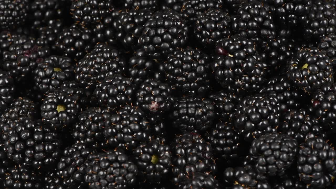 blackberry. vista lateral. movimiento en bucle. rotación de 360.