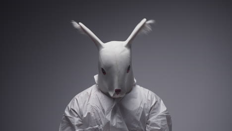 person wearing a rabbit mask