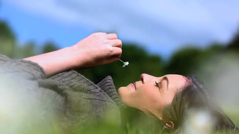 Schöne-Frau,-Die-Auf-Gras-In-Einem-Park-Liegt