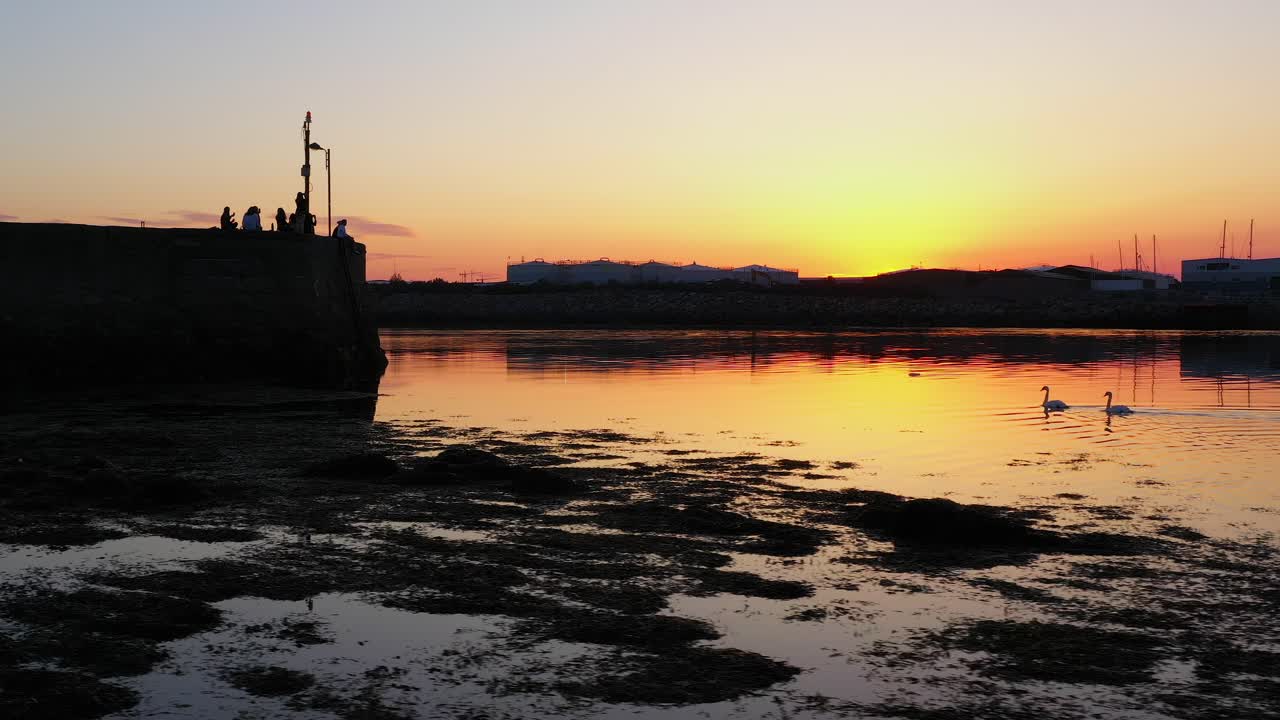 백조는 물을 가로질러 헤엄치고, 금색과 분홍색 주황색 하늘은 잔잔한 물 님모의 부두 골웨이 아일랜드에 반영됩니다.