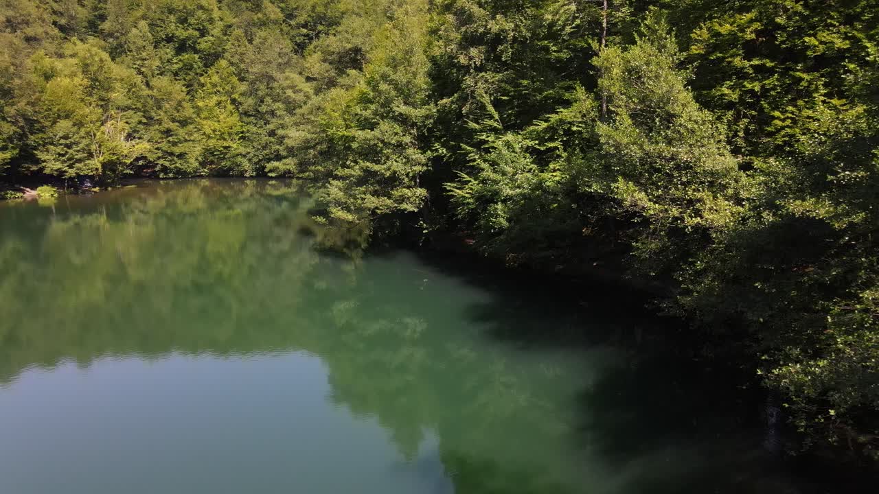 숲에 숲이 우거진 호수 공원