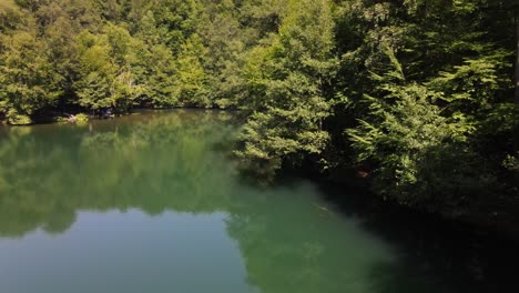 parque del lago arbolado en el bosque