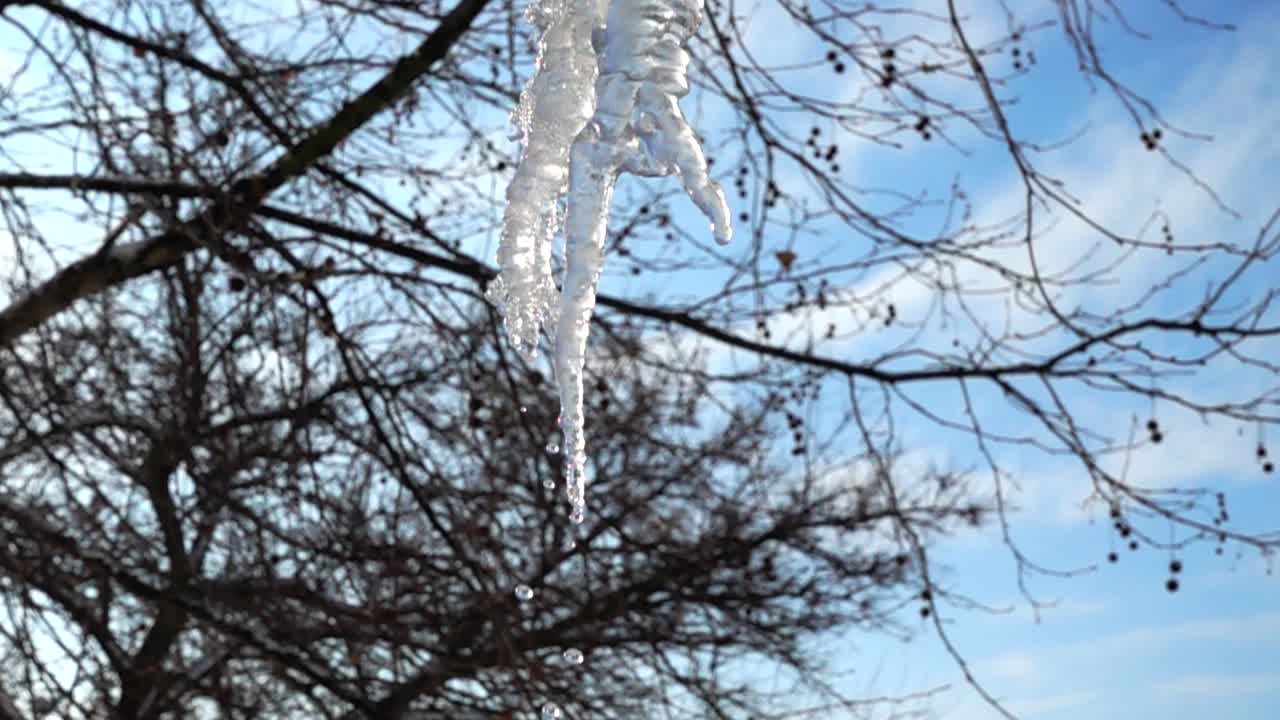 Das Wasser tropft von Eiszapfen. Winteraufnahme in Zeitlupe.