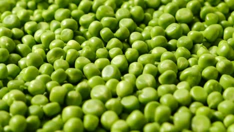 fresh green polka dot background texture top view vegetable shot of a bunch of bright organic green flowers of fresh green peas