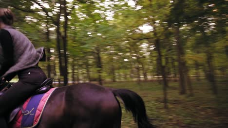 Horse-riding-in-the-autumn-forest.-Professional-female-rider-gallop-in-park:-young-female-rider-on-the-horse-on-a-shady-forest