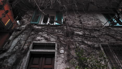 house with overgrown tree branches in bellagio, lake como, italy