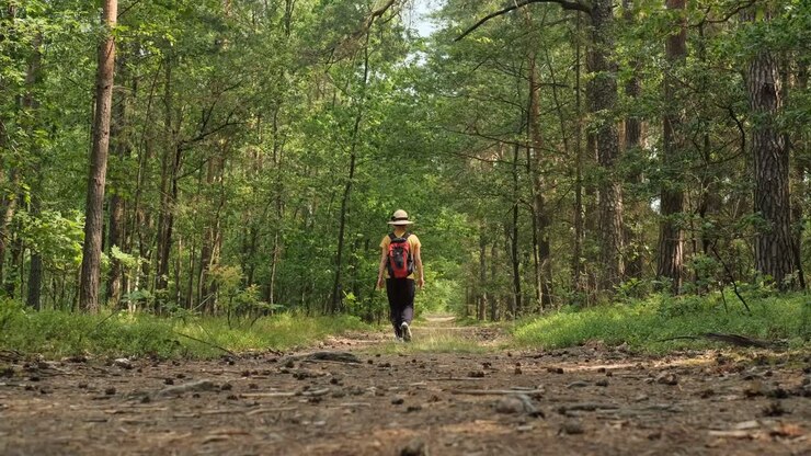 Female with backpack and summer hat walking on the path in forest