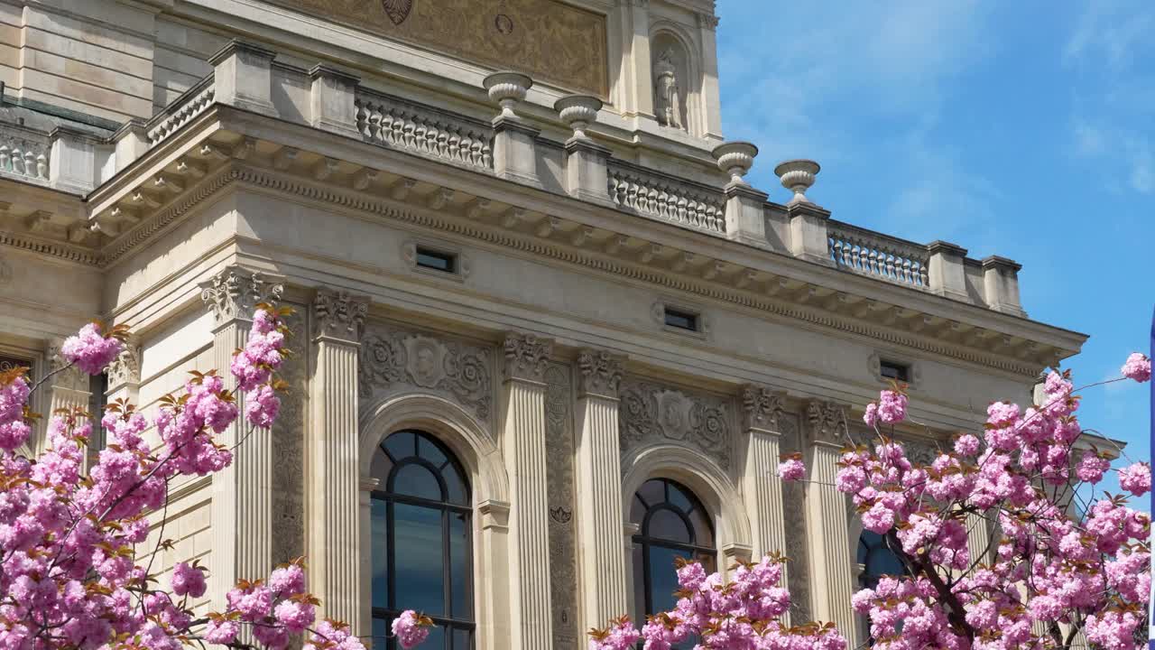 Alte Oper en Fráncfort con fachada ornamentada y flores rosadas en primer plano bajo un cielo azul claro en primavera