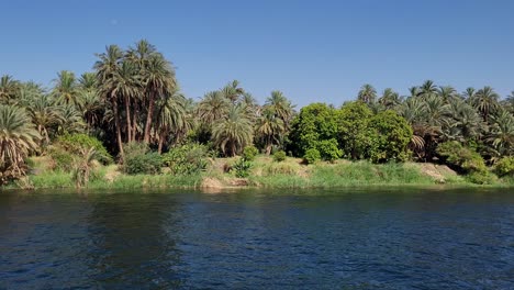 bank of the nile river