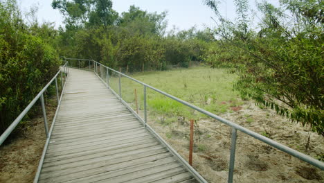 boardwalk through a natural landscape