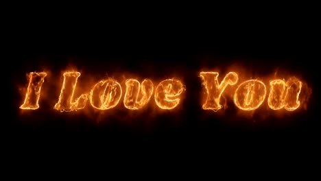 i love you word hot animated burning realistic fire flame loop.