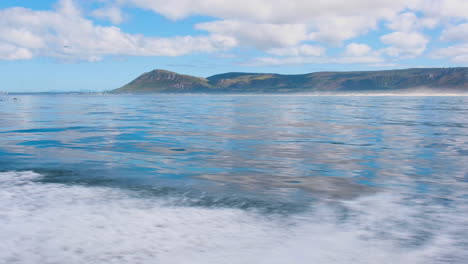 Seabirds-follow-boat-speeding-out-on-ocean---glassy-sea-surface