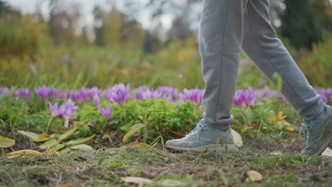 close up of individual walking along grassy path dotted with vibrant purple flowers and lush greenery, showing grey joggers and sneakers stepping gently on earth surrounded by seasonal wild flora
