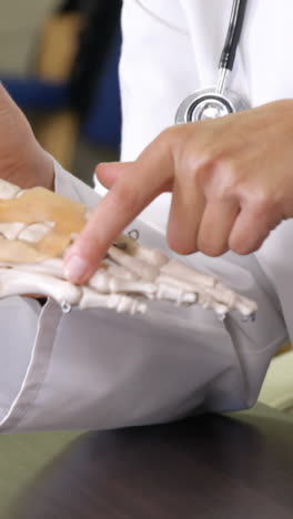 fisioterapeuta sosteniendo un modelo de pies esqueléticos