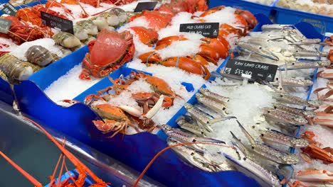 variety of seafood on ice at market