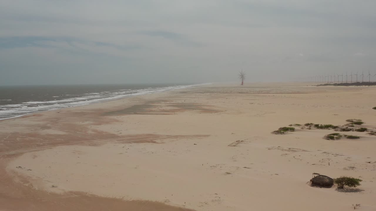 antena: una playa con un parque de aerogeneradores a lo lejos en brasil