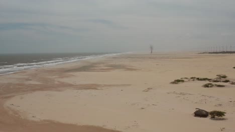 antena: una playa con un parque de aerogeneradores a lo lejos en brasil