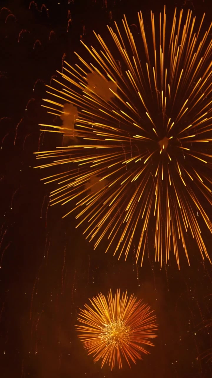 Fireworks on the sky at the Cannes Fireworks Festival at night. Vertical
