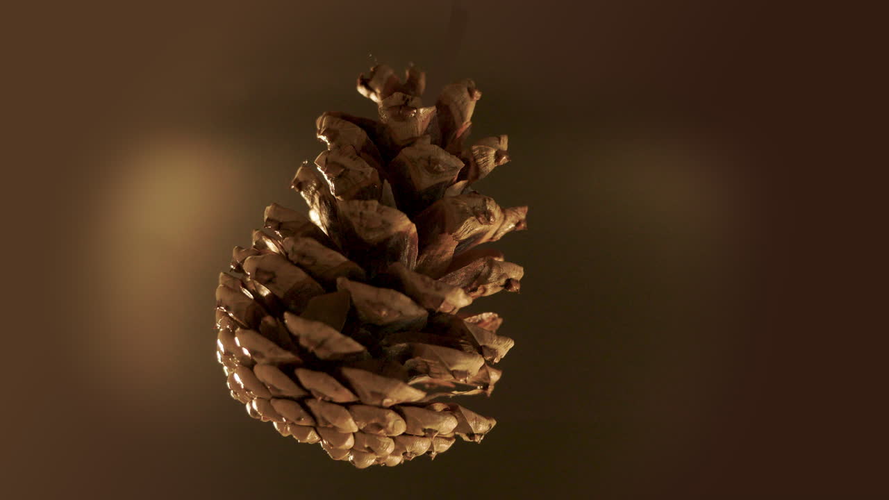 La Pineale ruota lentamente.