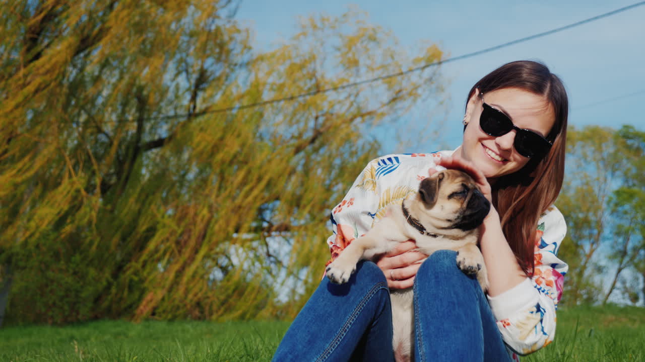 개와 함께 공원에서 휴식을 취하고 이동 중 핫도그 간식