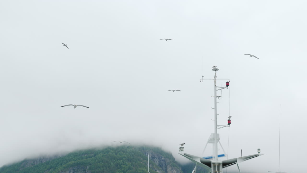 갈매기는 노르웨이 피요르드 유람선의 돛대에 날아 앉아