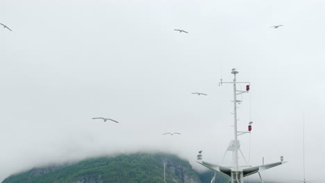 Seagulls-Fly-And-Sit-On-The-Mast-Of-The-Ship-Fjord-Cruise-In-Norway