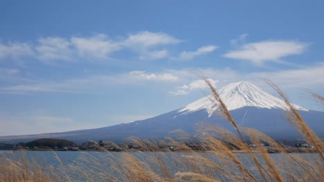 Vista-Del-Paisaje-Natural-De-La-Montaña-Volcánica-Fuji-Con-El-Lago-Kawaguchi-En-Primer-Plano-4k-Uhd-Video-Filmación-Corta