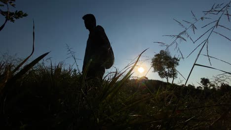 slow motion cinematic shot of man walking through vegetation, bright sun behind