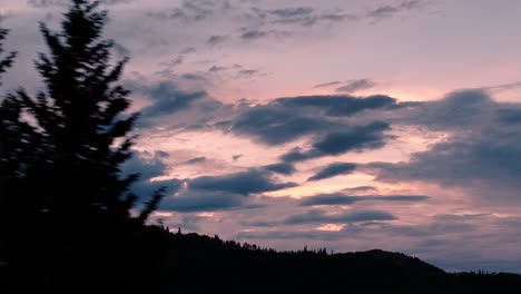 Antenne-Auf-Zoomobjektiv-Des-Sonnenuntergangs-über-Bergen,-Während-Kiefern-Im-Vordergrund-Vorbeifliegen