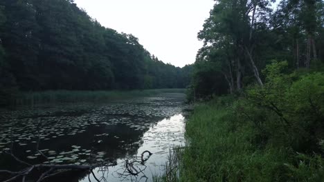 El-Dron-Vuela-Sobre-El-Sereno-Lago-Del-Amanecer,-Capturando-Bosques-Exuberantes,-Vegetación-Acuática-Y-Un-Tranquilo-Paisaje-De-Laguna.