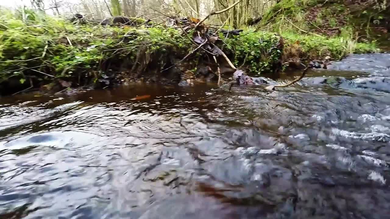 Primo piano di acqua che scorre velocemente.