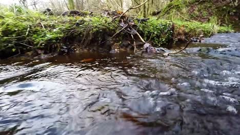 Schließen-Sie-Schnell-Fließendes-Wasser