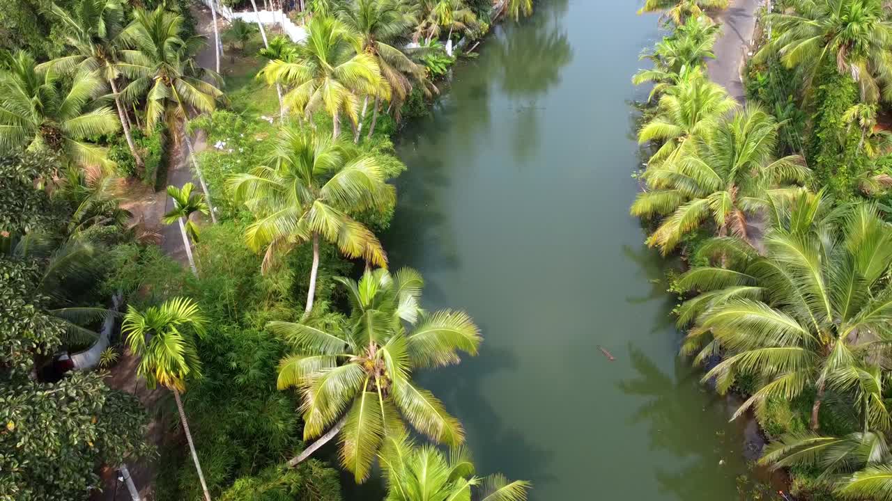 Vista aerea di un tranquillo canale nel Kerala, in India, fiancheggiato da lussureggianti palme da cocco
