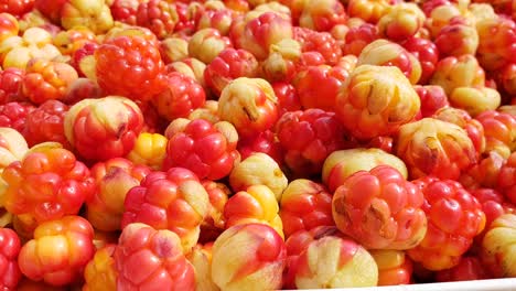 grupo de moras, primer plano de la mano recogiendo una sola baya