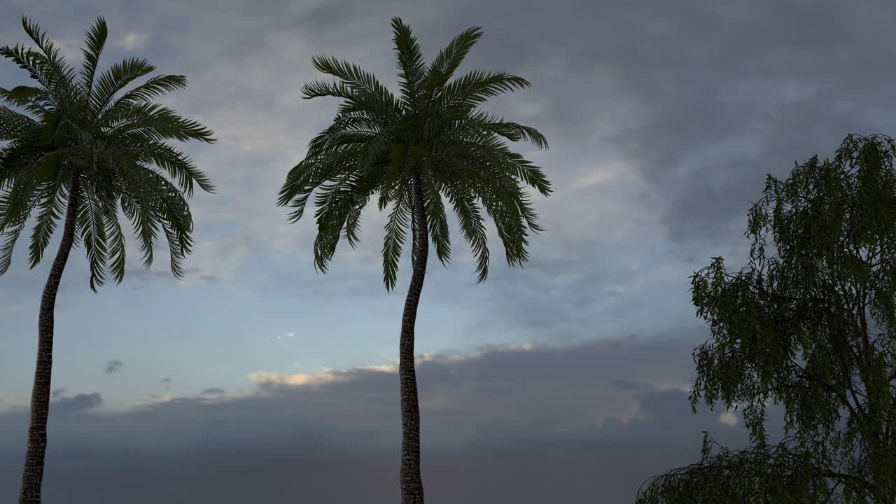 Meteor Shower Over Palm Trees