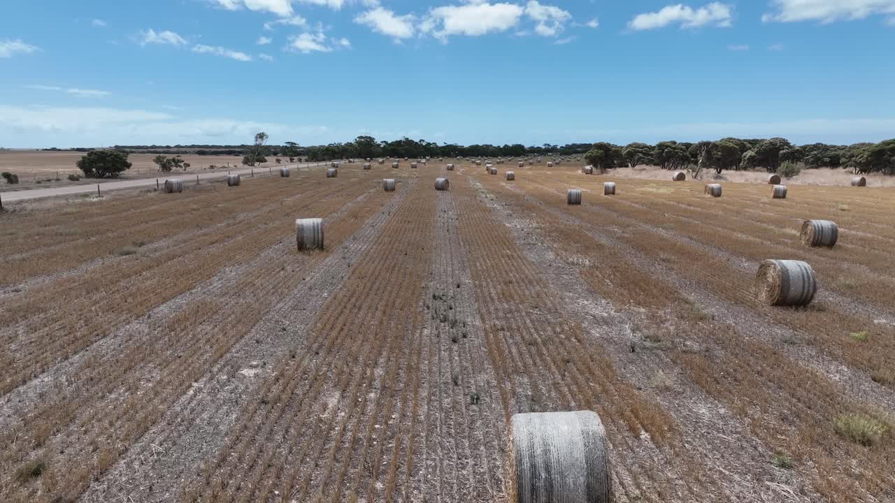 Ripresa con drone di campi agricoli coperti da balle di fieno appena raccolte