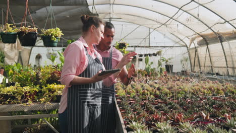 diverse gardeners discussing plant care while examining seedlings in greenhouse nursery