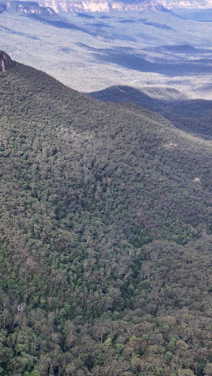 Inquadratura ampia statica di una fitta foresta e scogliere distanti nelle Blue Mountains, Nuovo Galles del Sud
