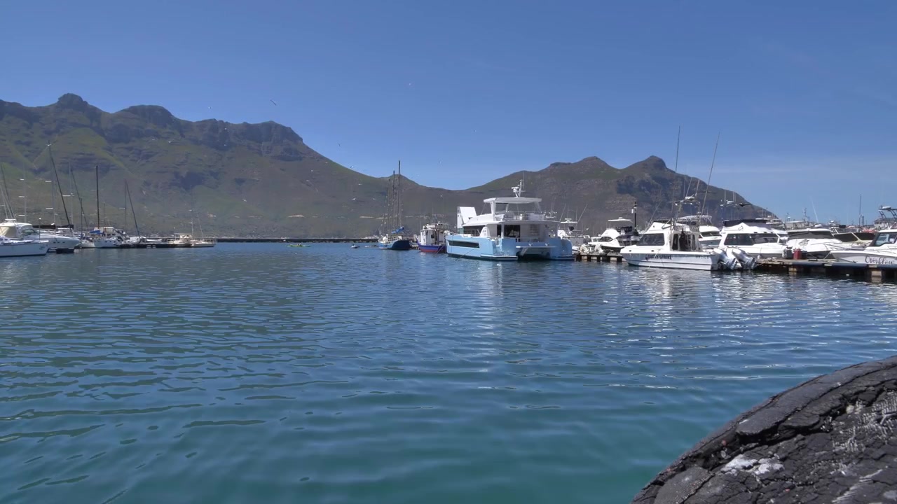 Fiske- og fritidsbåter ligger i Hout Bay havn, med imponerende grønne fjell i bakgrunnen og en vid, skyfri himmel, som viser en fredelig kystscene i Cape Town
