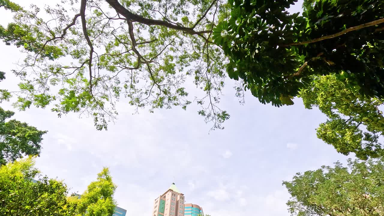 뒷면 에 초고층 건물 들 이 있는 울창 한 초록색