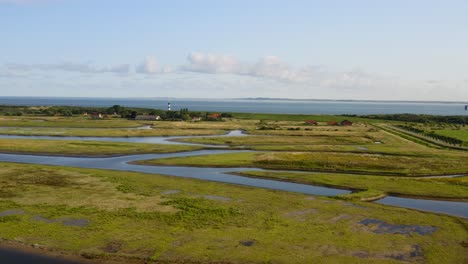 Aerial-wide-shot-of-Waterdunes---a-nature-area-and-recreational-park-in-the-province-of-Zeeland,-The-Netherlands