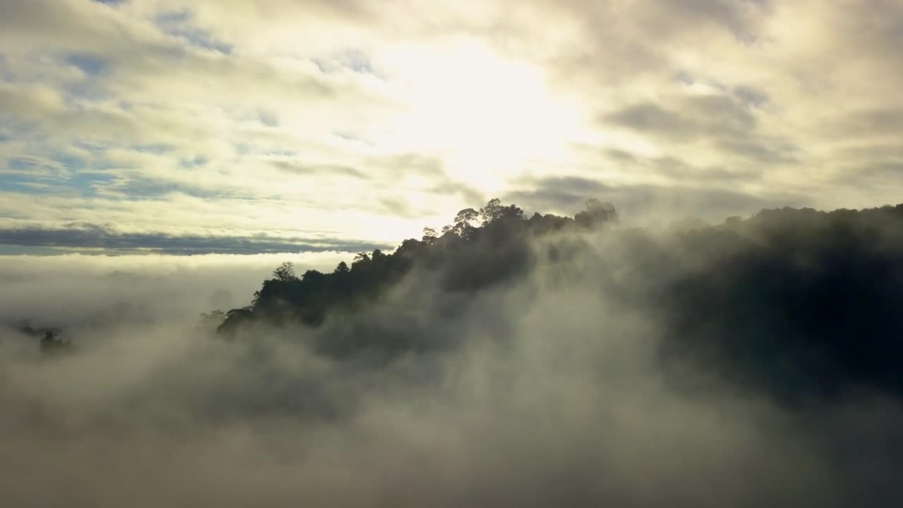 습한 정글 안개 낀 구름 위로 떠오르는 열대 우림, 공중 전망