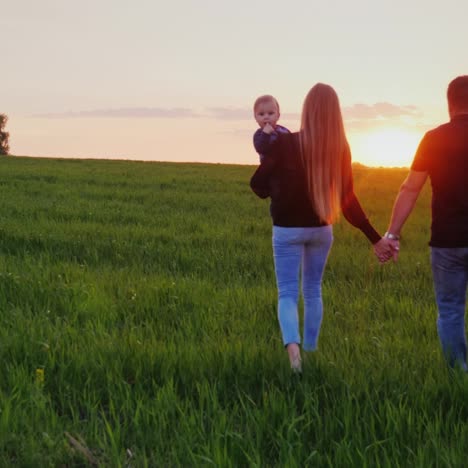 A-Young-Married-Couple-Is-Walking-Along-A-Beautiful-Meadow-At-Sunset