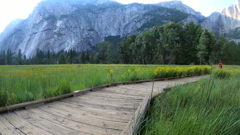 Woman-walking-alone-enjoying-nature-and-the-outdoors-at-Yosemite-National-Park,-USA