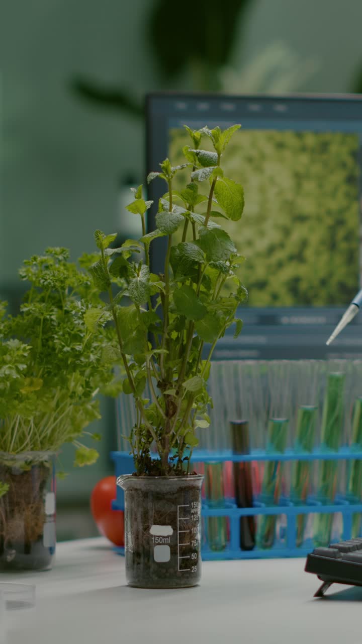 Botanical research and experiments in a science laboratory with a plant specimen
