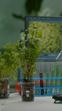 botanical research and experiments in a science laboratory with a plant specimen