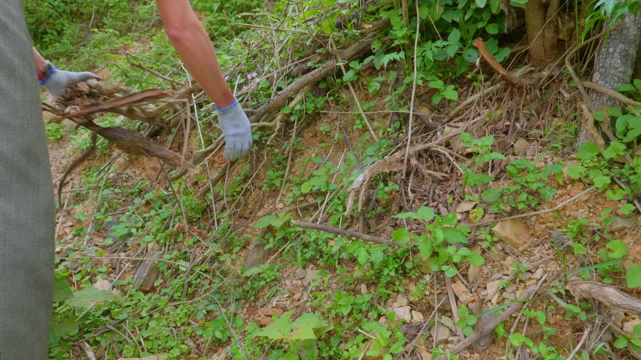 자연 속에서 땅에서 나무 막대기를 따는 청년
