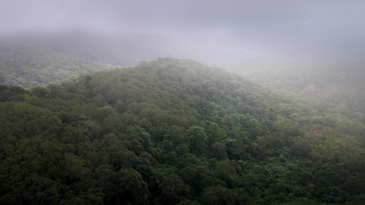 vista aérea escénica de la vasta selva tropical paisaje de la selva textura de fondo clima nublado en la isla de sumbawa, indonesia