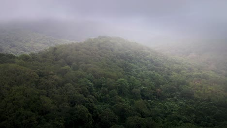 Vista-Aérea-Escénica-De-La-Vasta-Selva-Tropical-Paisaje-De-La-Selva-Textura-De-Fondo-Clima-Nublado-En-La-Isla-De-Sumbawa,-Indonesia